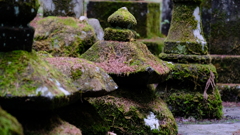 DSCF4744