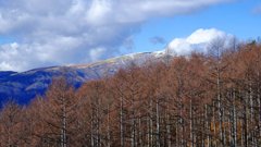 DSCF1409