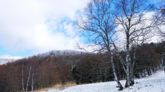 DSCF1380