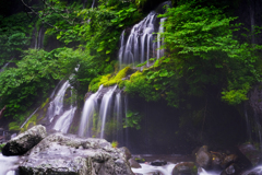 DSCF0411