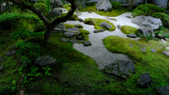 DSCF9841