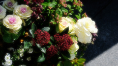 DSCF2117