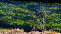 DSCF2061