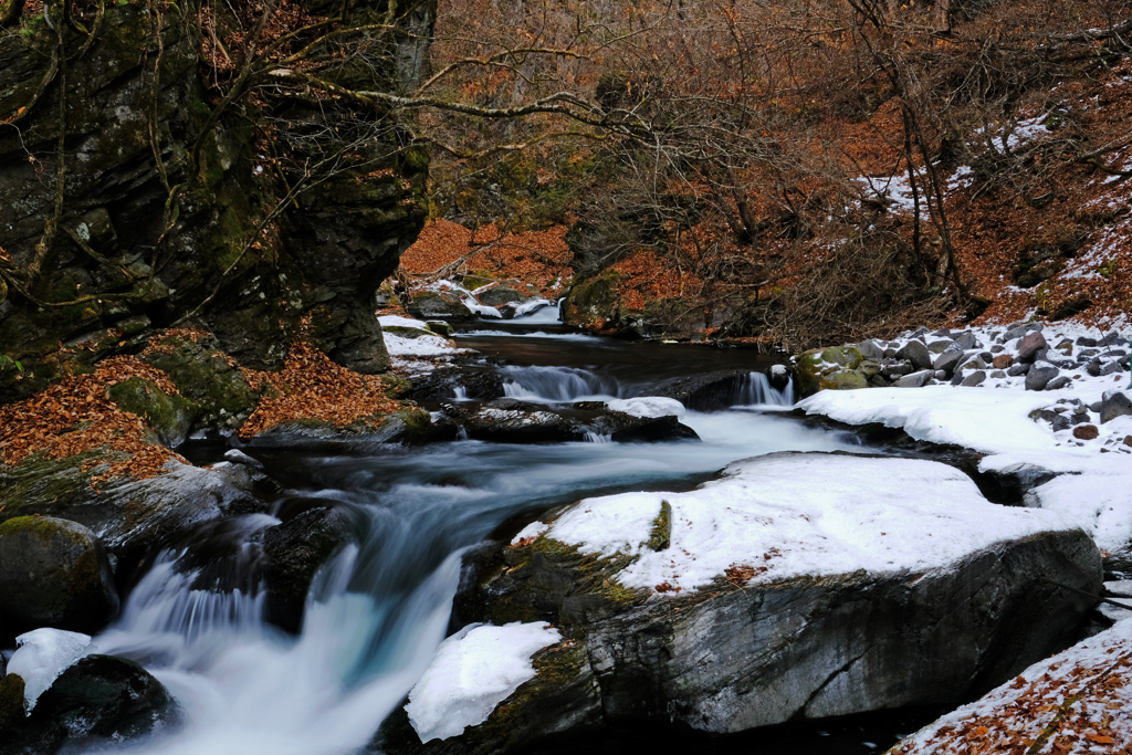 DSCF1597