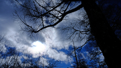 DSCF1404