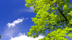 DSCF4030