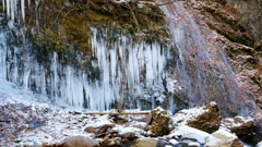 DSCF1341