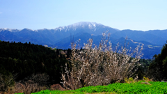 DSCF2352