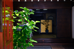 DSCF0579