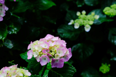 DSCF0055