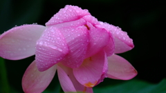 DSCF8280