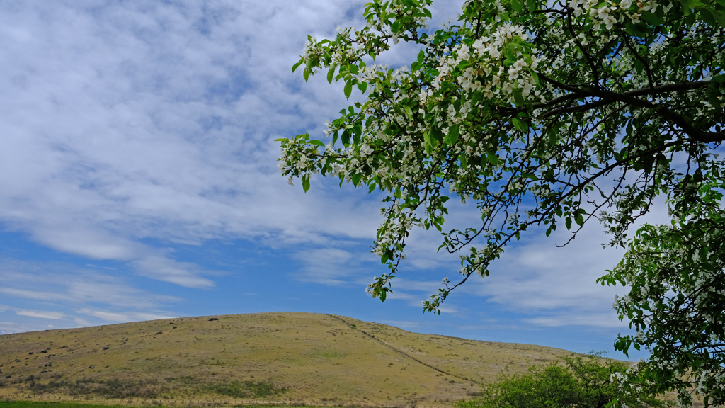 DSCF4406