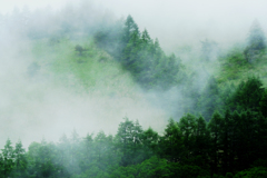 DSCF0244