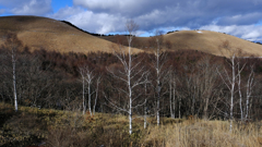 DSCF1430