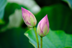 DSCF0355