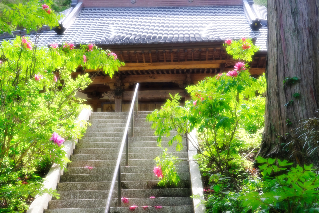DSCF3711