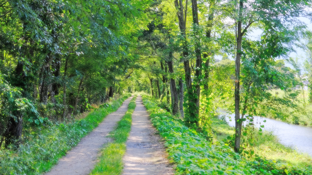 DSCF5900