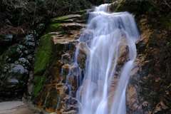 DSCF2836