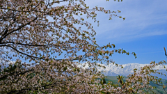 DSCF3506