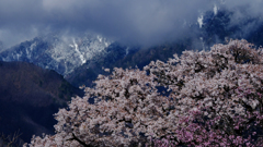 DSCF6291