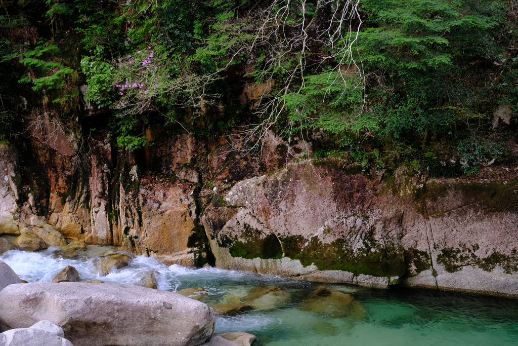 DSCF2751