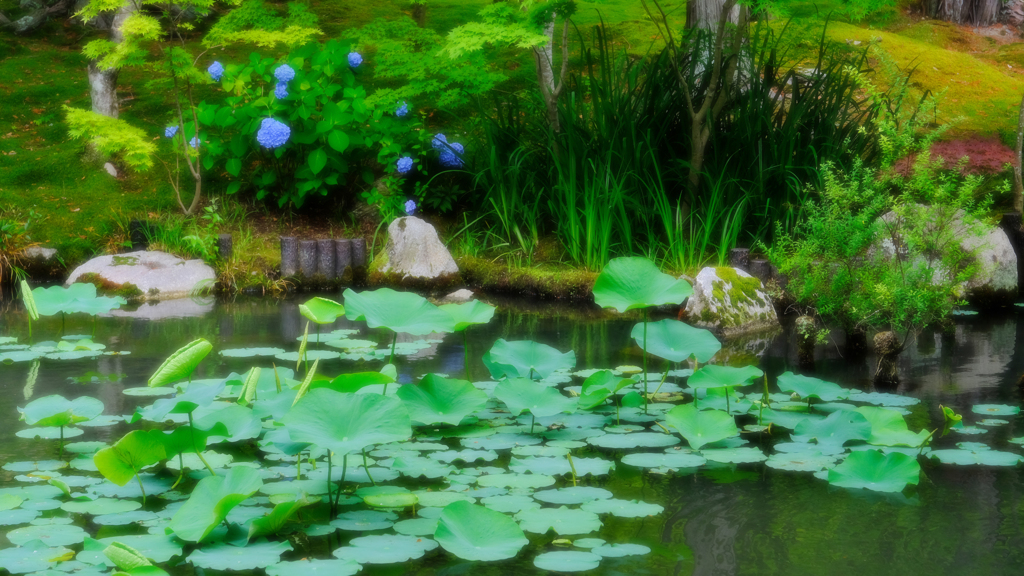 DSCF9851
