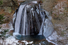 DSCF1351
