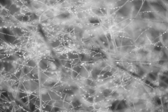 DSCF5705
