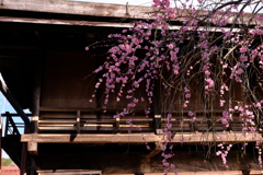 DSCF2299