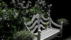 DSCF4075