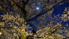 DSCF6026