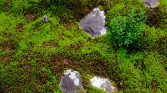 DSCF4787