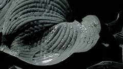 DSCF4068