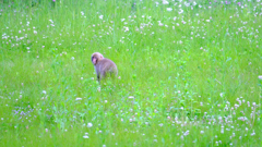 DSCF4007