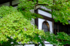DSCF0006