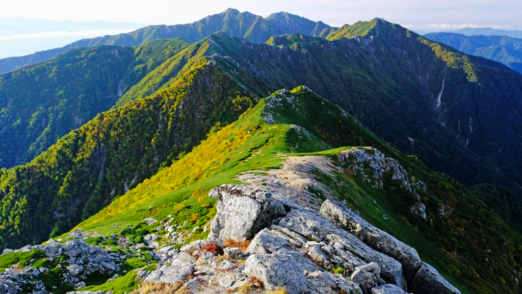 DSCF8536