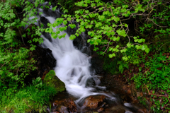 DSCF3772