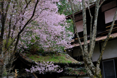 DSCF3020