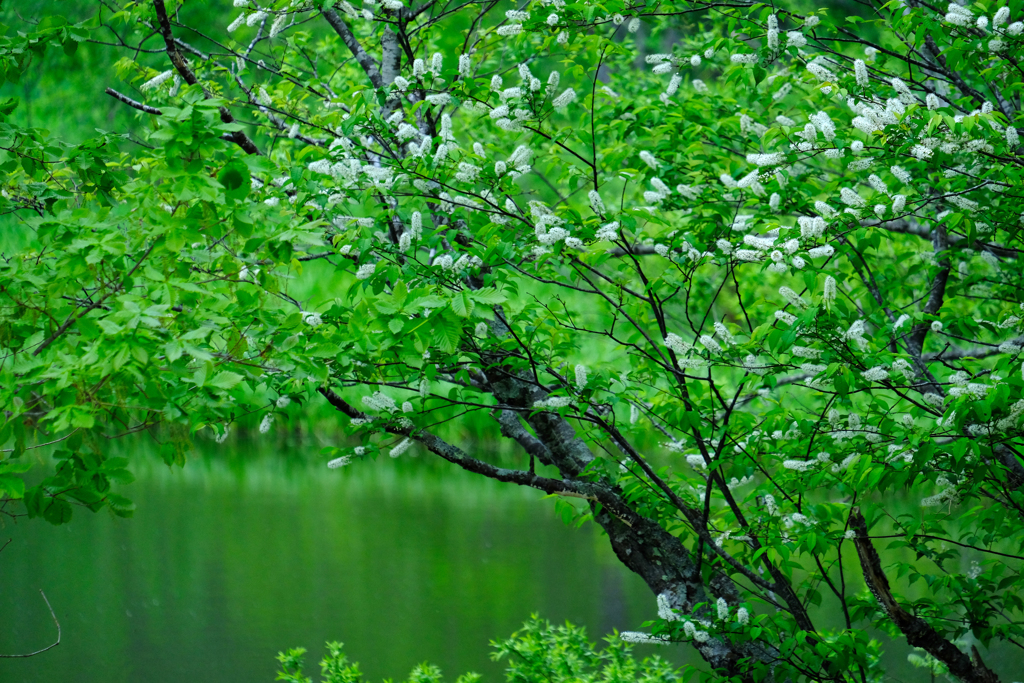 DSCF9073