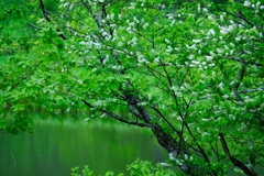 DSCF9073