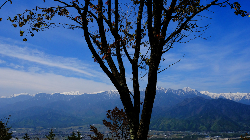 DSCF3489