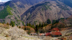 DSCF2559