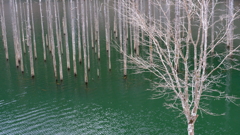 DSCF1224