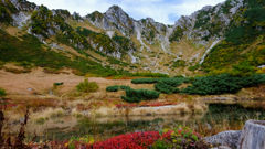 DSCF8648