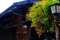DSCF6476