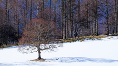 DSCF1903