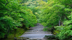 DSCF9636