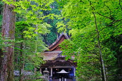 DSCF4798