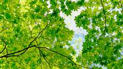 DSCF7357