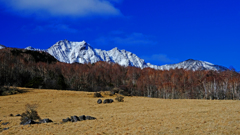 DSCF5541